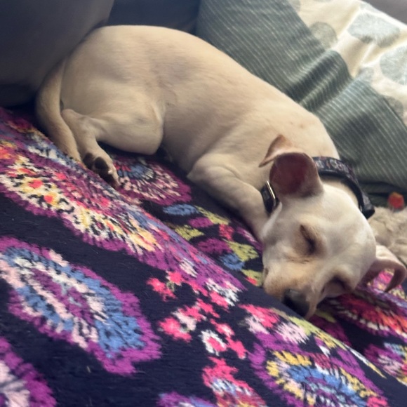 Meet your Posher, Nicole - Picture 8 of 8